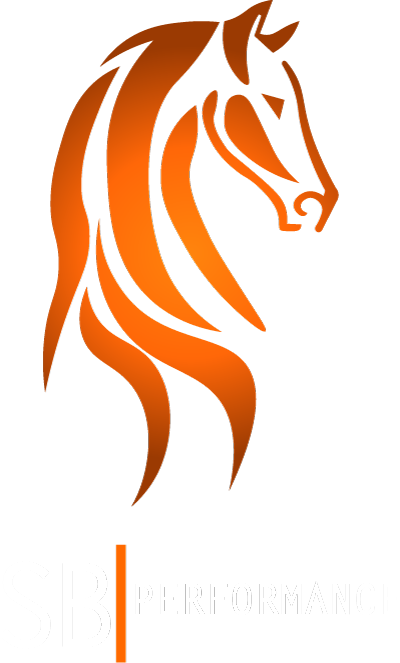 SB Performance Logo